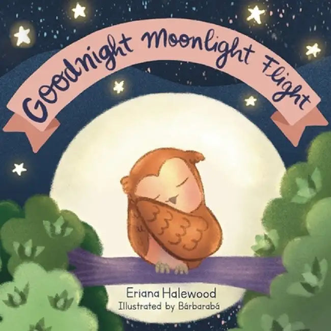 Goodnight Moonlight Flight: A Soothing Bedtime Flight With Bright by Indira A. Hall