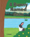 A Bunny Named Sam by R. Haeck