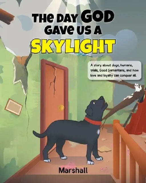 The Day God Gave Us A Skylight by Marshall