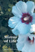 Mirror of Life by Marguerite Roosen-Miranda