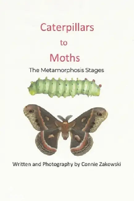Caterpillars to Moths: The Metamorphosis Stages by Connie Zakowski