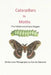 Caterpillars to Moths: The Metamorphosis Stages by Connie Zakowski