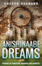 Anishinaabe Dreams: Stories of Tradition, Survival, and Identity by Sharon Brunner