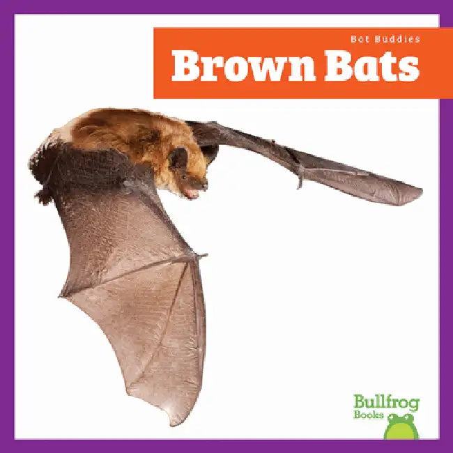 Brown Bats by Jenna Lee Gleisner