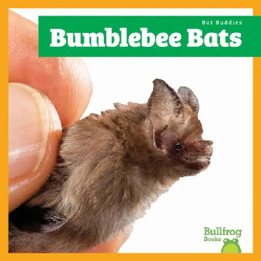 Bumblebee Bats by Jenna Lee Gleisner