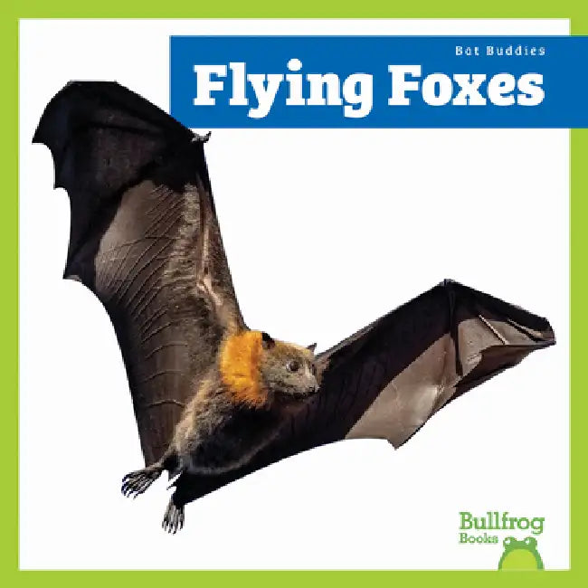 Flying Foxes by Lily Austen