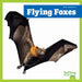 Flying Foxes by Lily Austen