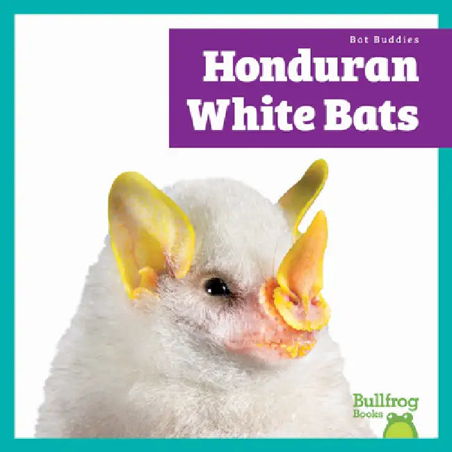 Honduran White Bats by Jenna Lee Gleisner