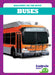 Buses by Natalie Deniston