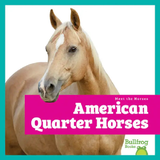 American Quarter Horses by Rachel Grack