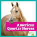American Quarter Horses by Rachel Grack