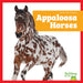 Appaloosa Horses by Rachel Grack