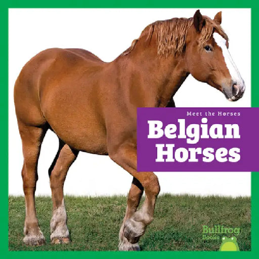 Belgian Horses by Rachel Grack