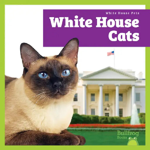 White House Cats by Lily Austen