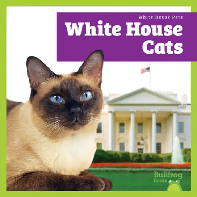 White House Cats by Lily Austen