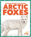 Arctic Foxes by Alicia Z. Klepeis