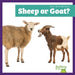 Sheep or Goat? by Lily Austen