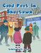 Cold Feet in Shoetown by Lenea Burt Howe