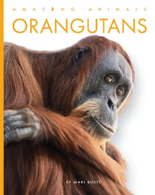 Orangutans by Mari Bolte