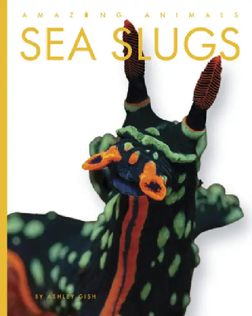 Sea Slugs by Ashley Gish
