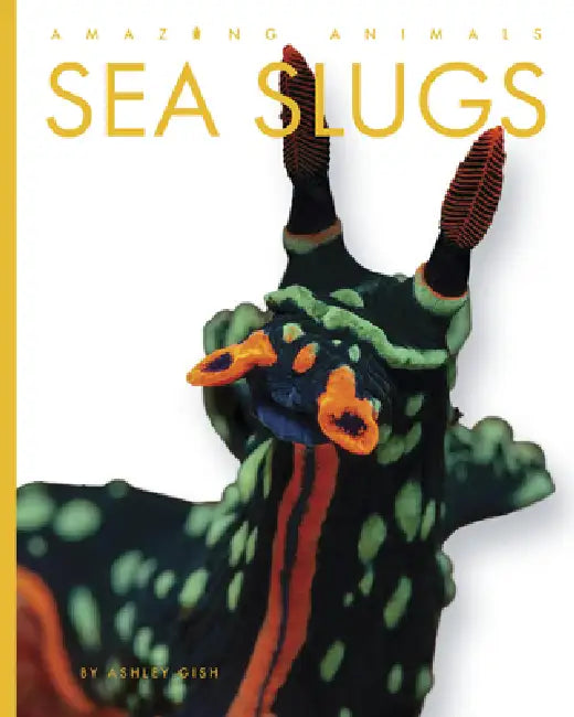 Sea Slugs by Ashley Gish