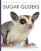 Sugar Gliders by Mari Bolte