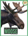 Moose by Lisa M. Bolt Simons