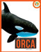 Orca by Pamela Dell