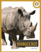 Rhinoceros by Pamela Dell