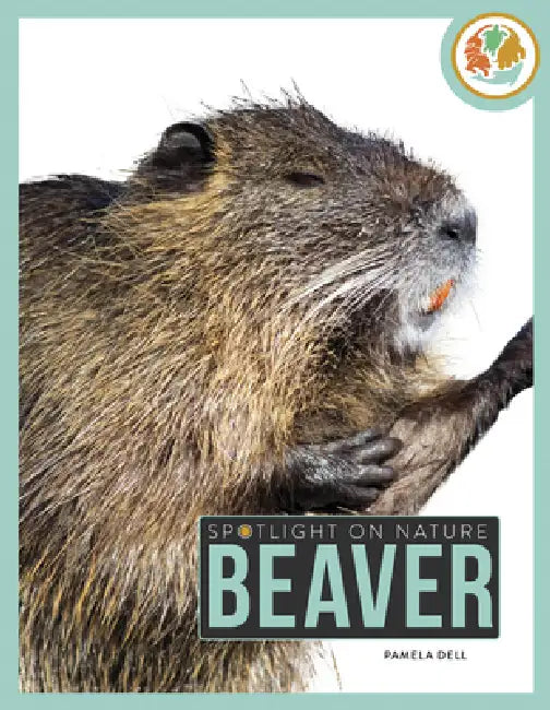 Beaver by Pamela Dell