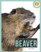 Beaver by Pamela Dell