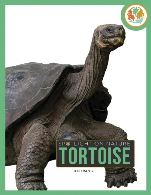 Tortoise by Jen Frantz