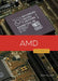 AMD by Erin Silver