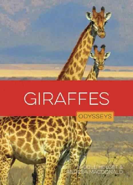 Giraffes by Nicole Helget, Andrea MacDonald