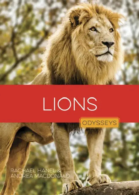 Lions by Rachael Hanel, Andrea MacDonald