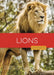 Lions by Rachael Hanel, Andrea MacDonald
