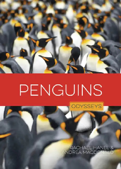 Penguins by Rachael Hanel, Andrea MacDonald