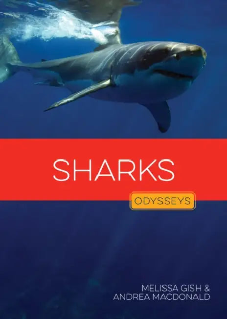 Sharks by Melissa Gish, Andrea MacDonald
