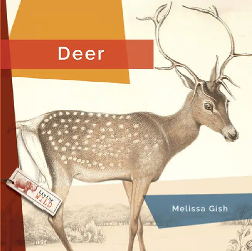 Deer by Melissa Gish