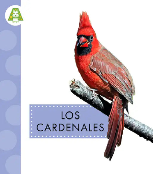 Los Cardenales by Anastasia Suen