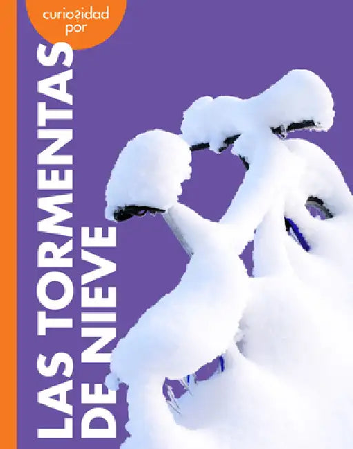Curiosidad Por Las Tormentas de Nieve by Rachel Grack