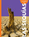 Curiosidad Por Las Sequías by Deborah Scigliano