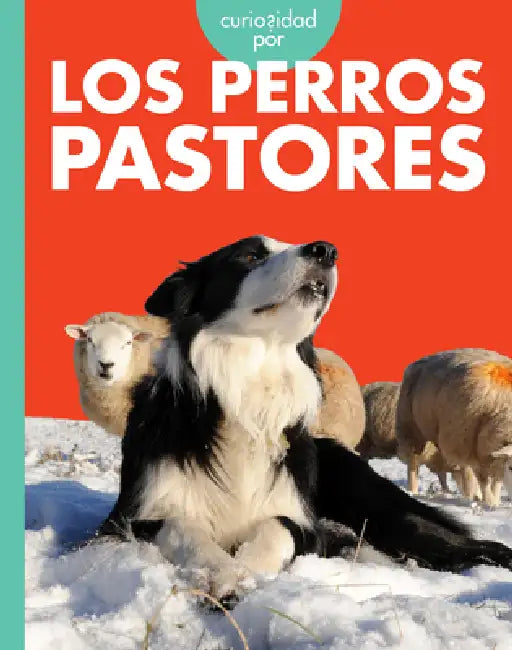 Curiosidad Por Los Perros Pastores by Cari Meister