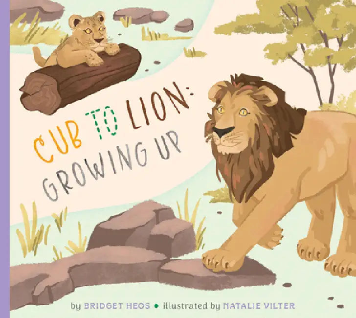 Cub to Lion: Growing Up by Bridget Heos, Natalie Vilter