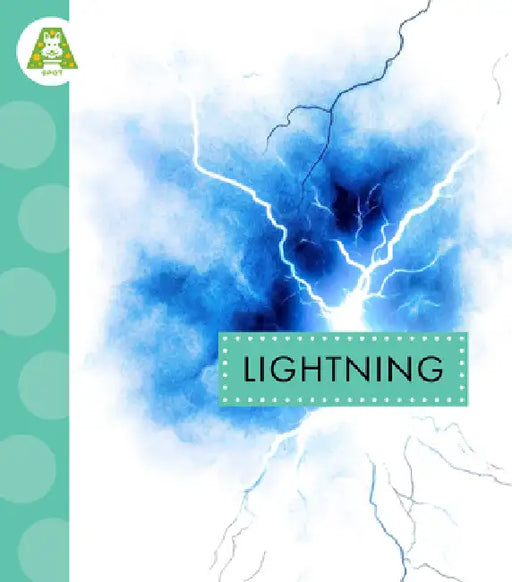 Lightning by Anastasia Suen