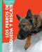 Curiosidad Por Los Perros de Búsqueda Y Rescate by Cari Meister
