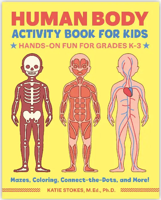 Human Body Activity Book For Kids by Katie Stokes