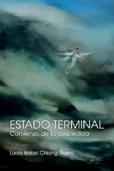 Estado Terminal: Comienzo de la despedida by Lucía Isabel Chiong Rivero