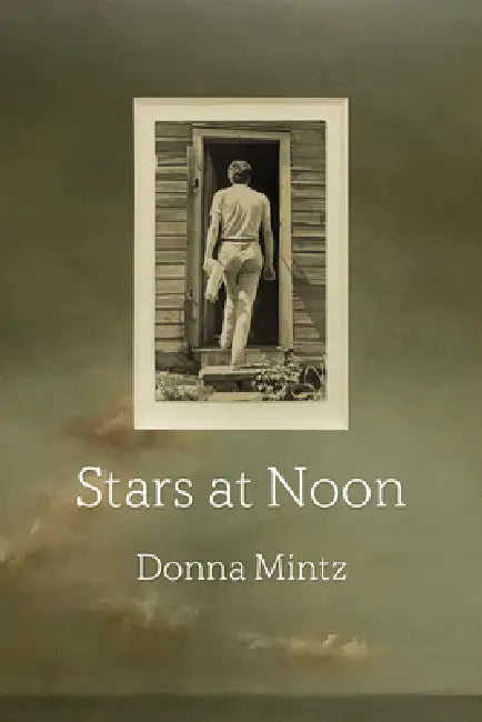 Stars at Noon by Donna Mintz