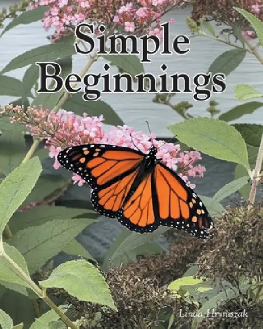Simple Beginnings by Linda Hryniszak